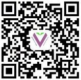 wangdian1